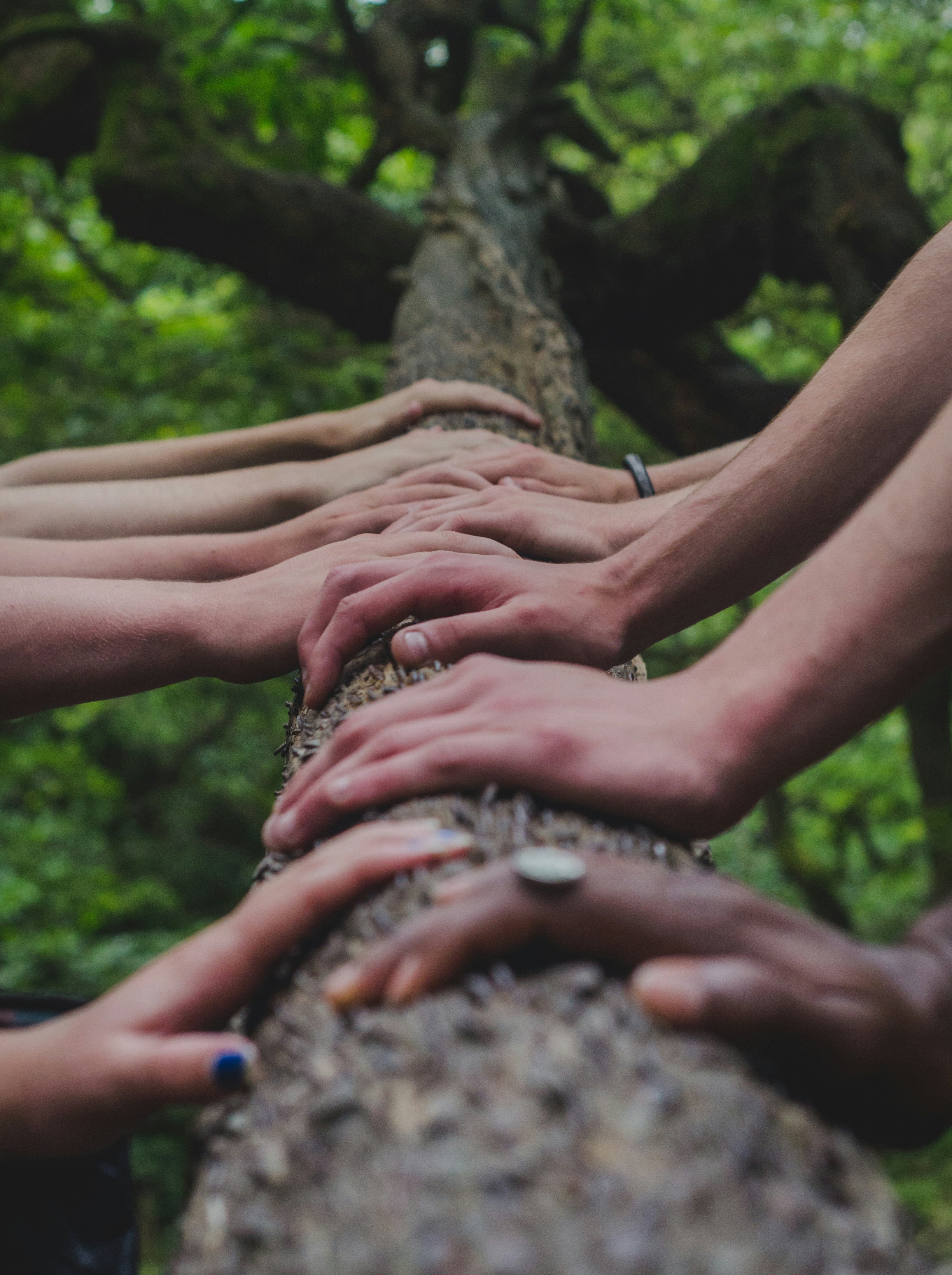 Community Image